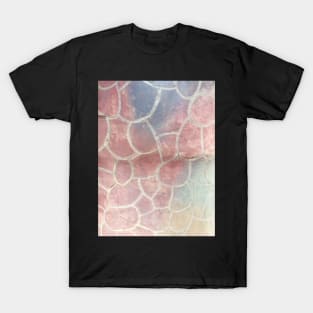 Coloful Scales Mosaics T-Shirt